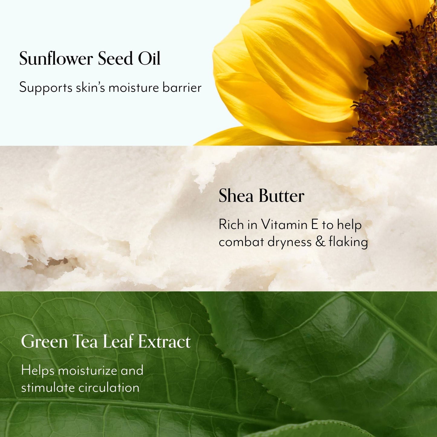 Oh, That’s Rich Body Cream